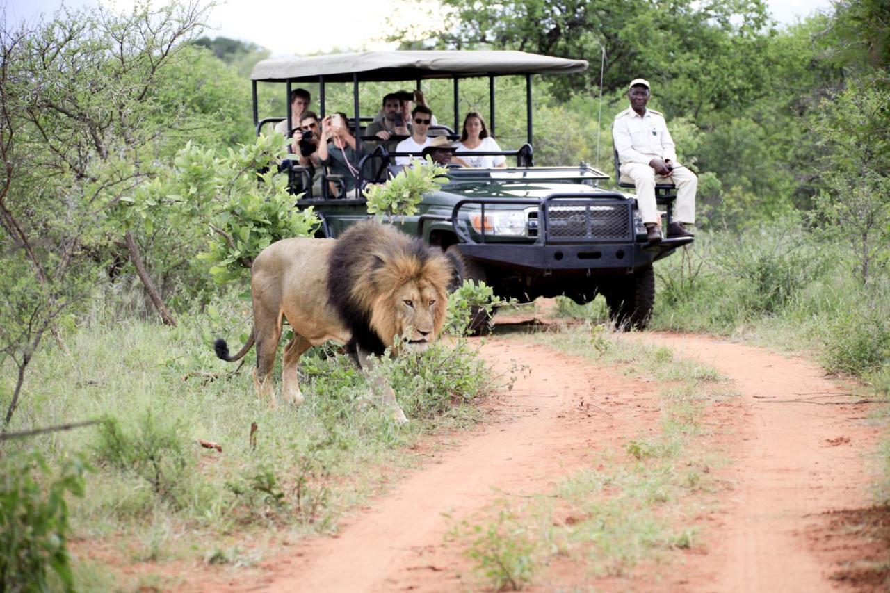 Karongwe Game Reserve 쿠나메 로지 빌라 외부 사진