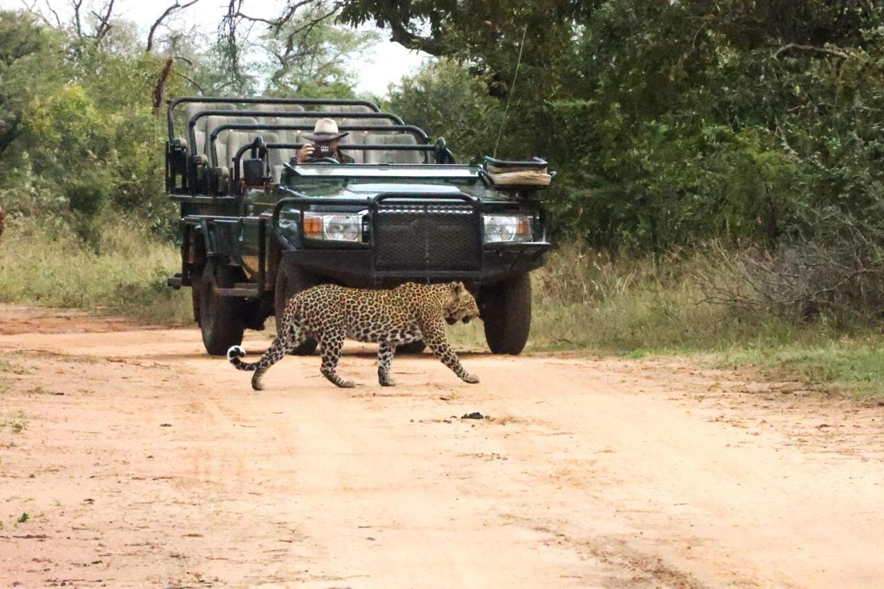 Karongwe Game Reserve 쿠나메 로지 빌라 외부 사진