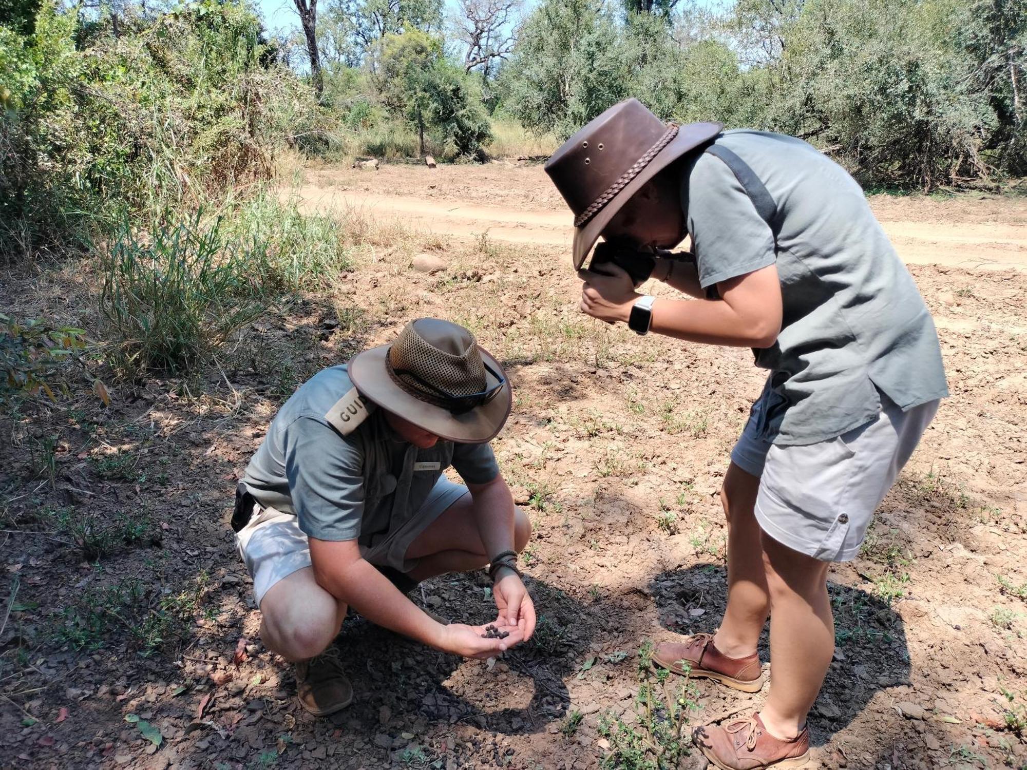 Karongwe Game Reserve 쿠나메 로지 빌라 외부 사진