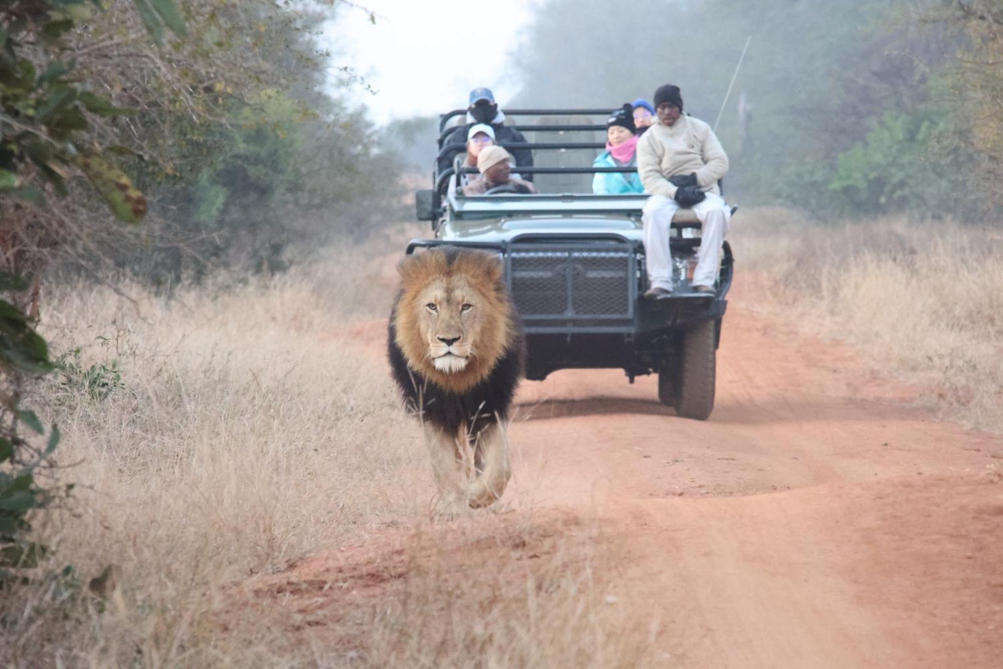 Karongwe Game Reserve 쿠나메 로지 빌라 외부 사진